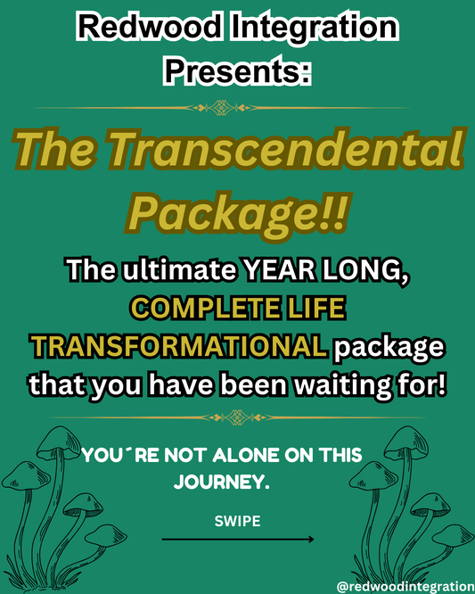 Transcendental Year Long Coaching Program