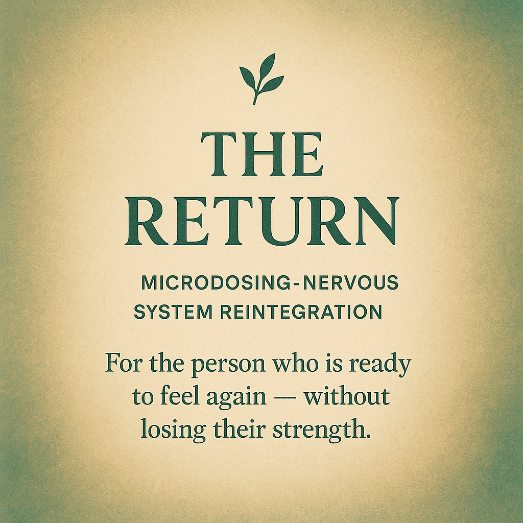 The Return (Integration and coaching program
