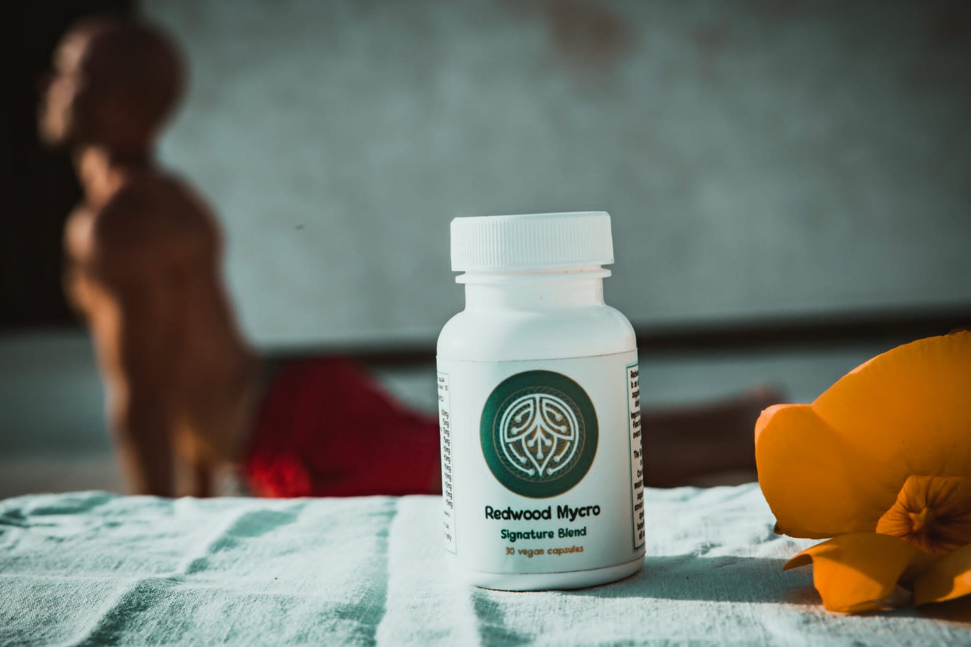 Redwood Mycro Signature Blend functional mushroom capsules, single bottle